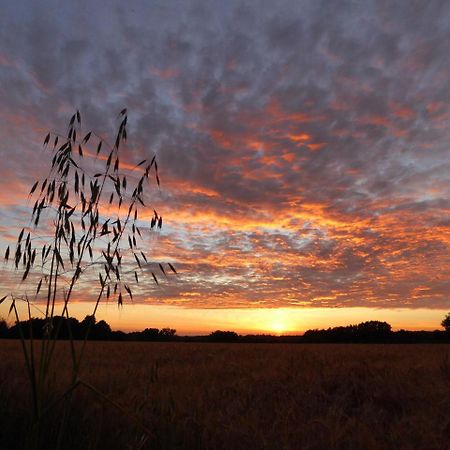 Apartament Mollett'S Farm Saxmundham Zewnętrze zdjęcie